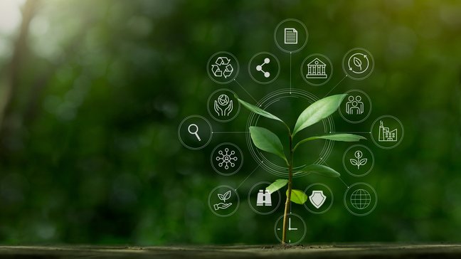ESG icon with small tree for environmental, social, and governance in sustainable ðical business on the Network connection